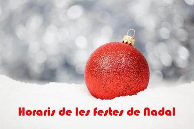 <bound method DexterityContent.Title of <NewsItem at /fs-webs/arxiu/ca/actualitat/noticies/horari-d2019atencio-al-public-durant-les-festes-de-nadal>>.