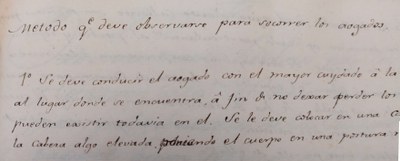 <bound method DexterityContent.Title of <NewsItem at /fs-webs/arxiu/ca/actualitat/noticies/metode-per-socorrer-als-ofegats>>.