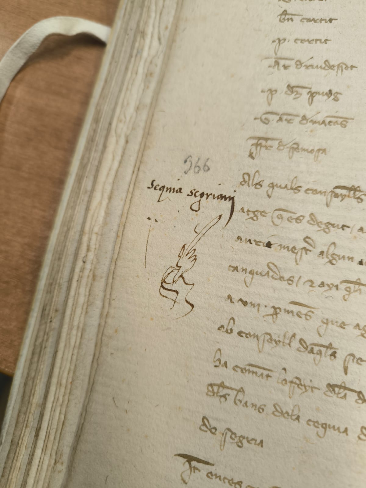 Sèquia de Segrià.jpeg